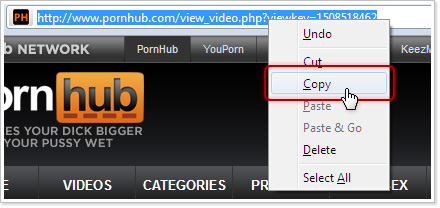 how to download pornhub videos