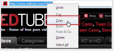 Copy the RedTube video URL