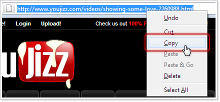 Free YouJizz Video Downloader.